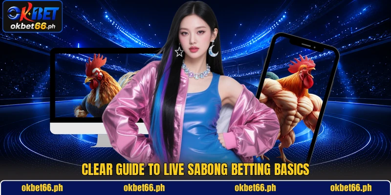 Clear guide to live sabong betting basics Clear guide to live sabong betting basics