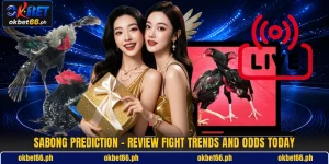 Sabong Prediction - Review Fight Trends And Odds Today